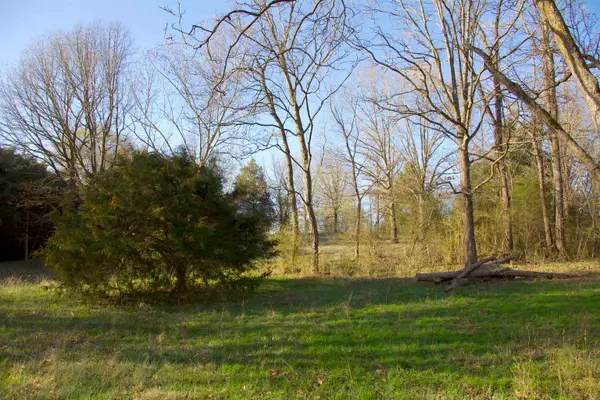 11925 OLD JACKSON RD, Somerville, TN 38068