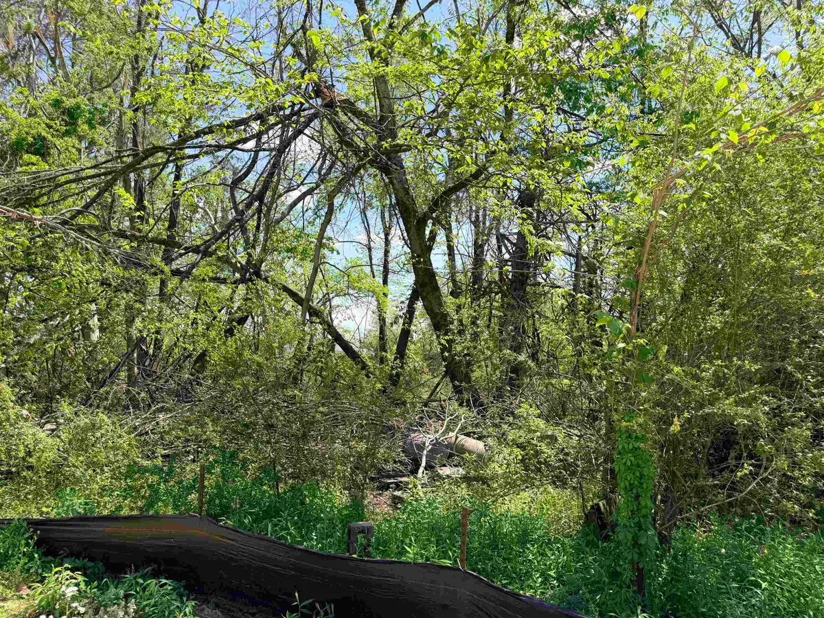 0 FLORENCE RD, Savannah, TN 38372 - #1