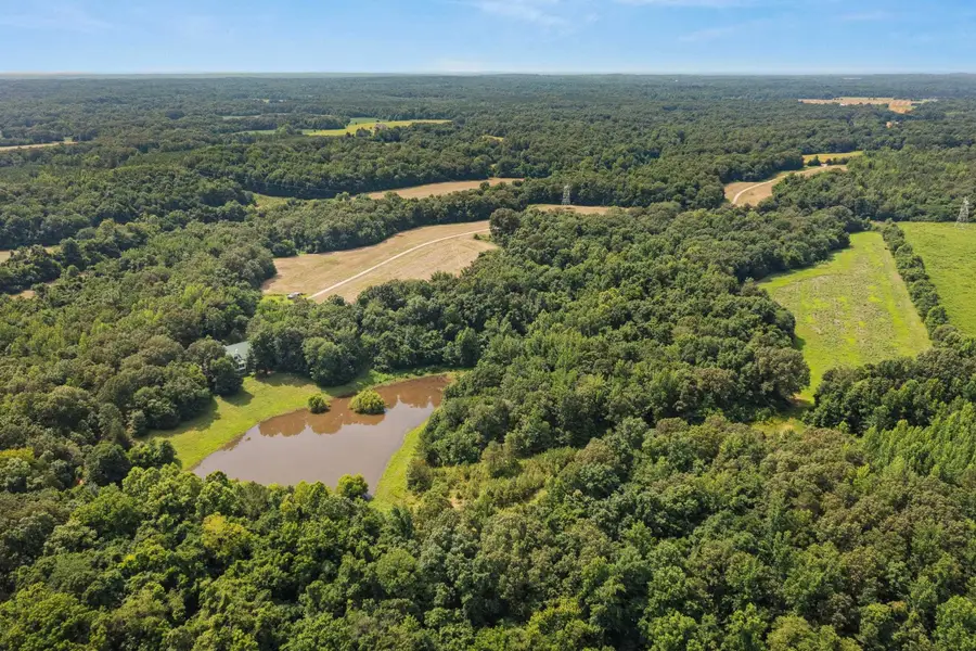 3890 AMES RD, Hickory Valley, TN 38042-5865 - #2