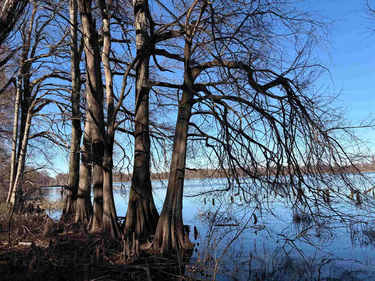 8163 HORSESHOE CIR, Hughes, AR 72348 - #1