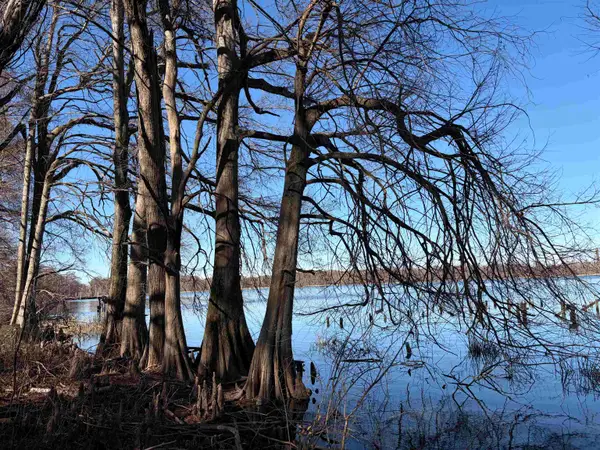 8163 HORSESHOE CIR, Hughes, AR 72348