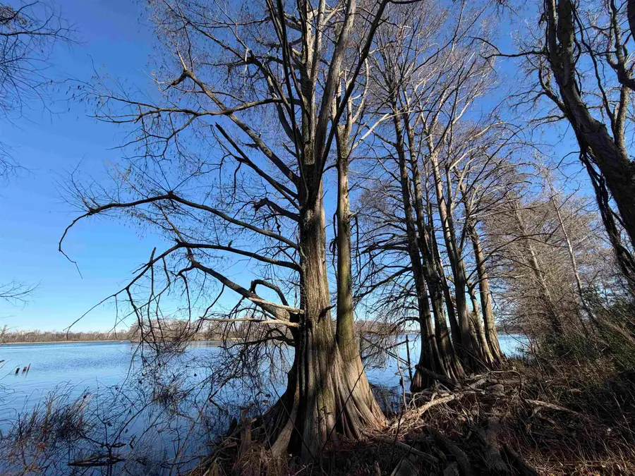 8163 HORSESHOE CIR, Hughes, AR 72348 - #2