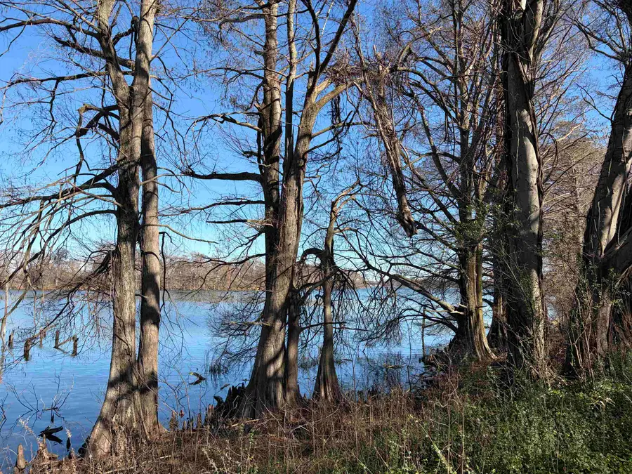 8163 HORSESHOE CIR, Hughes, AR 72348 - #3