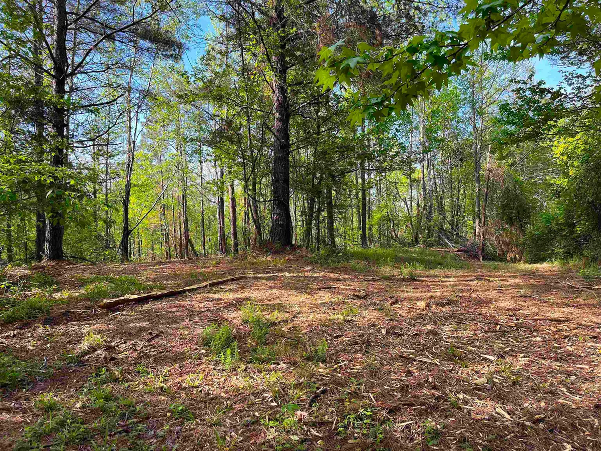 900 TRAMEL RD, Batesville, MS 38606 - #1