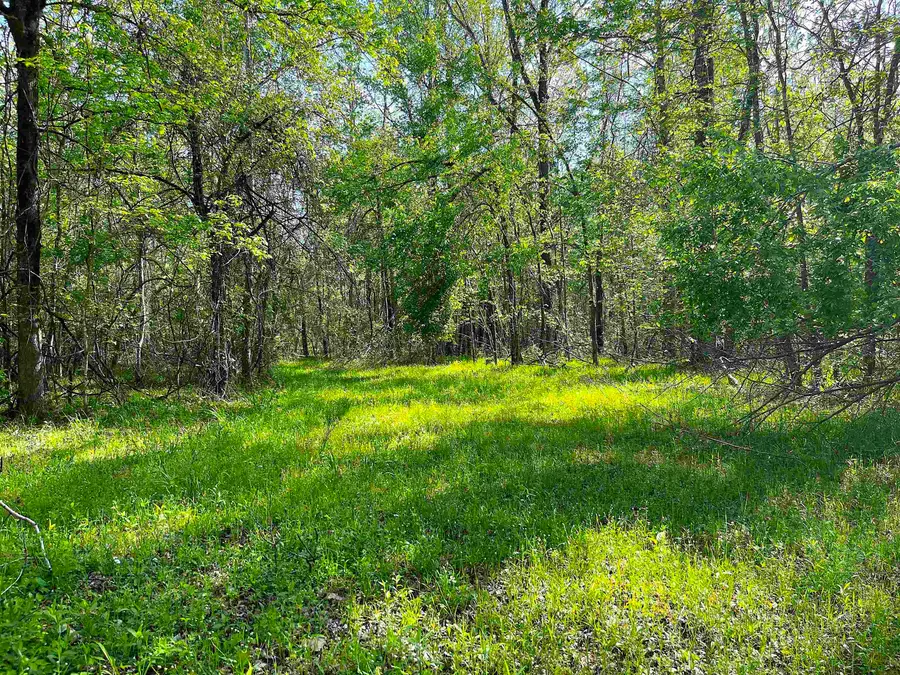 900 TRAMEL RD, Batesville, MS 38606 - #3