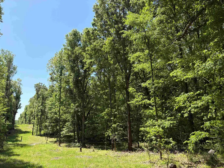 0 N OSBORNTOWN RD #90, Arlington, TN 38002 - #2