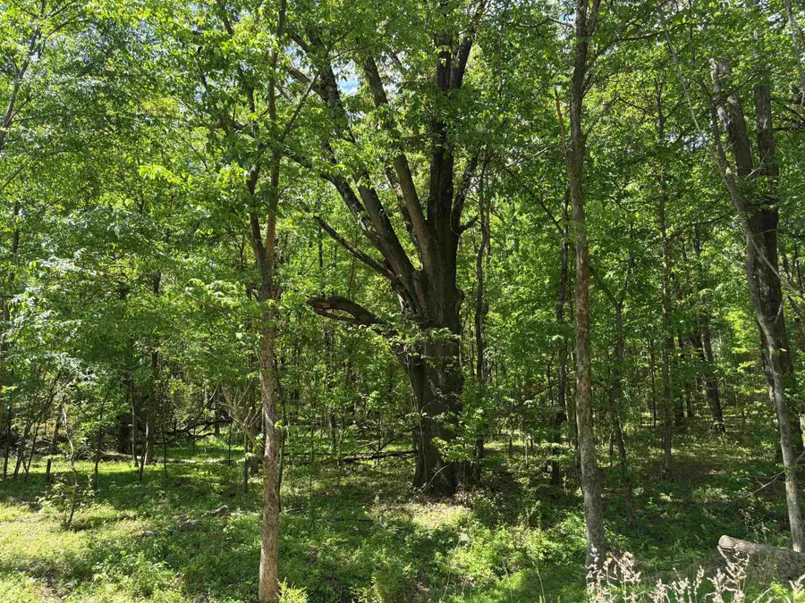 0 N OSBORNTOWN RD #90, Arlington, TN 38002 - #3