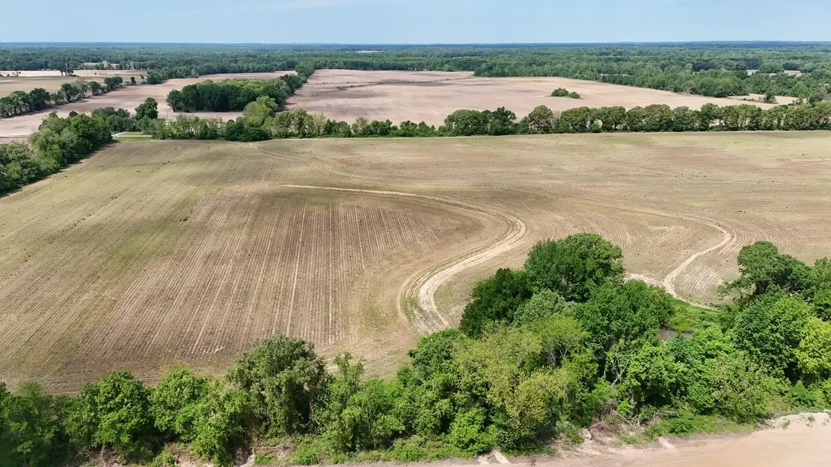 10 PEPPER PL, Brownsville, TN 38012 - #1