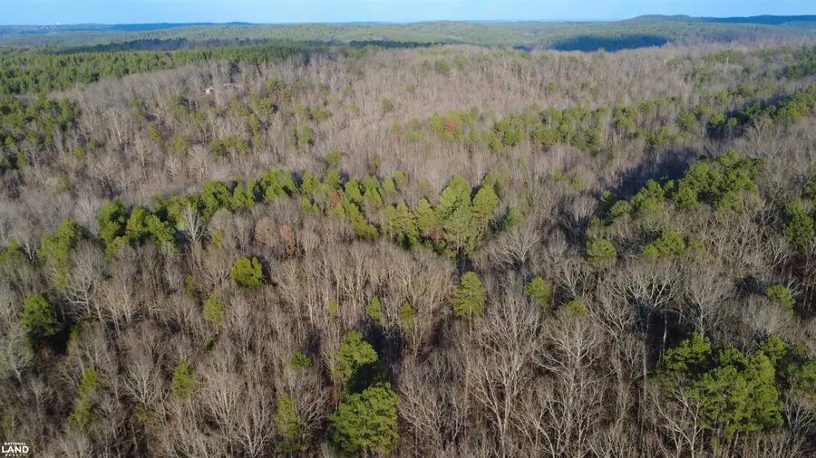 61 CO RD 650 RD, Walnut, MS 38683 - #2