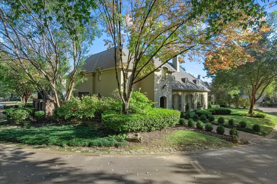 6303 MASSEY OAKS CV, Memphis, TN 38120 - #3