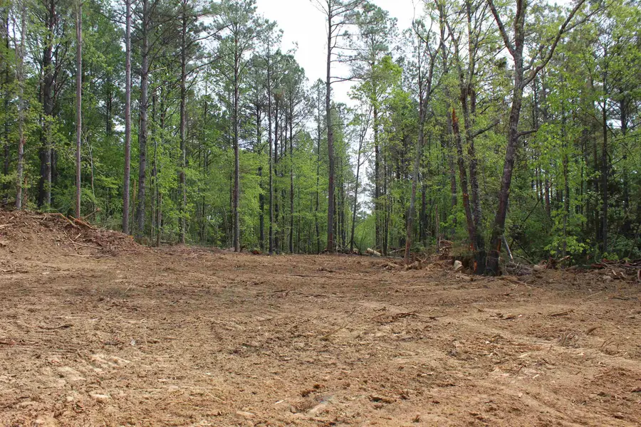 000 MARONEY LN, Medon, TN 38356 - #2