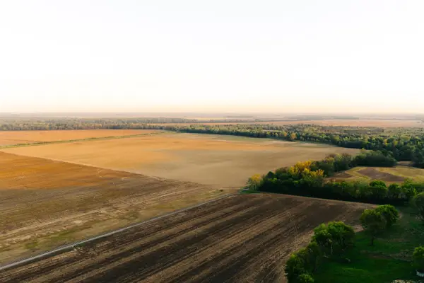 1229 TAR HILL RD, Dyersburg, TN 38024