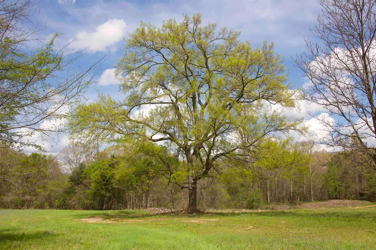 1519 WILBURN RD, Michigan City, MS 38647 - #1