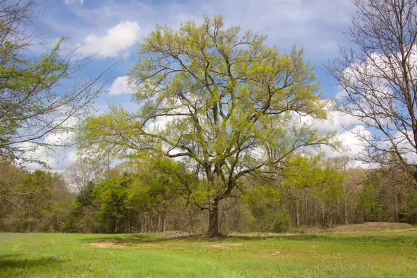 1519 WILBURN RD, Michigan City, MS 38647