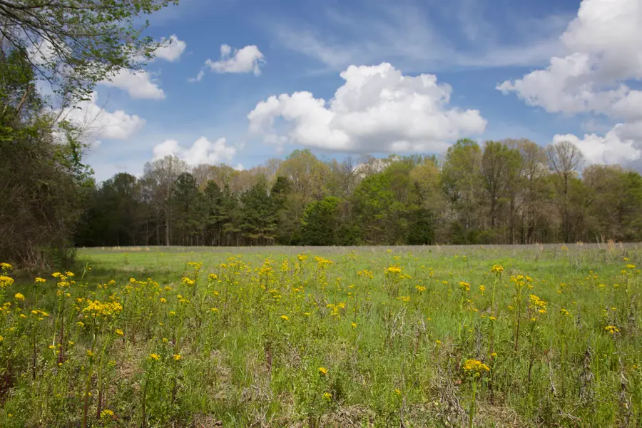 1519 WILBURN RD, Michigan City, MS 38647 - #2