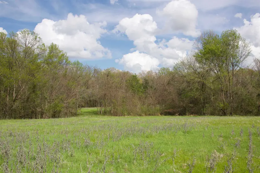 1519 WILBURN RD, Michigan City, MS 38647 - #3