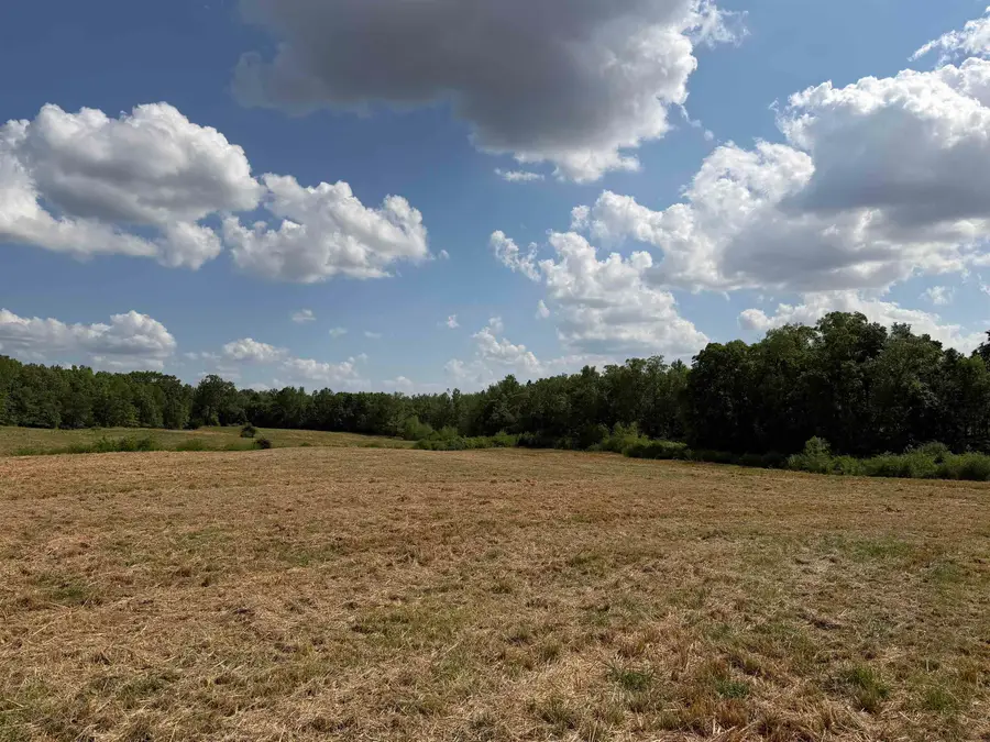 2 SALTILLO RD, Morris Chapel, TN 38361 - #3