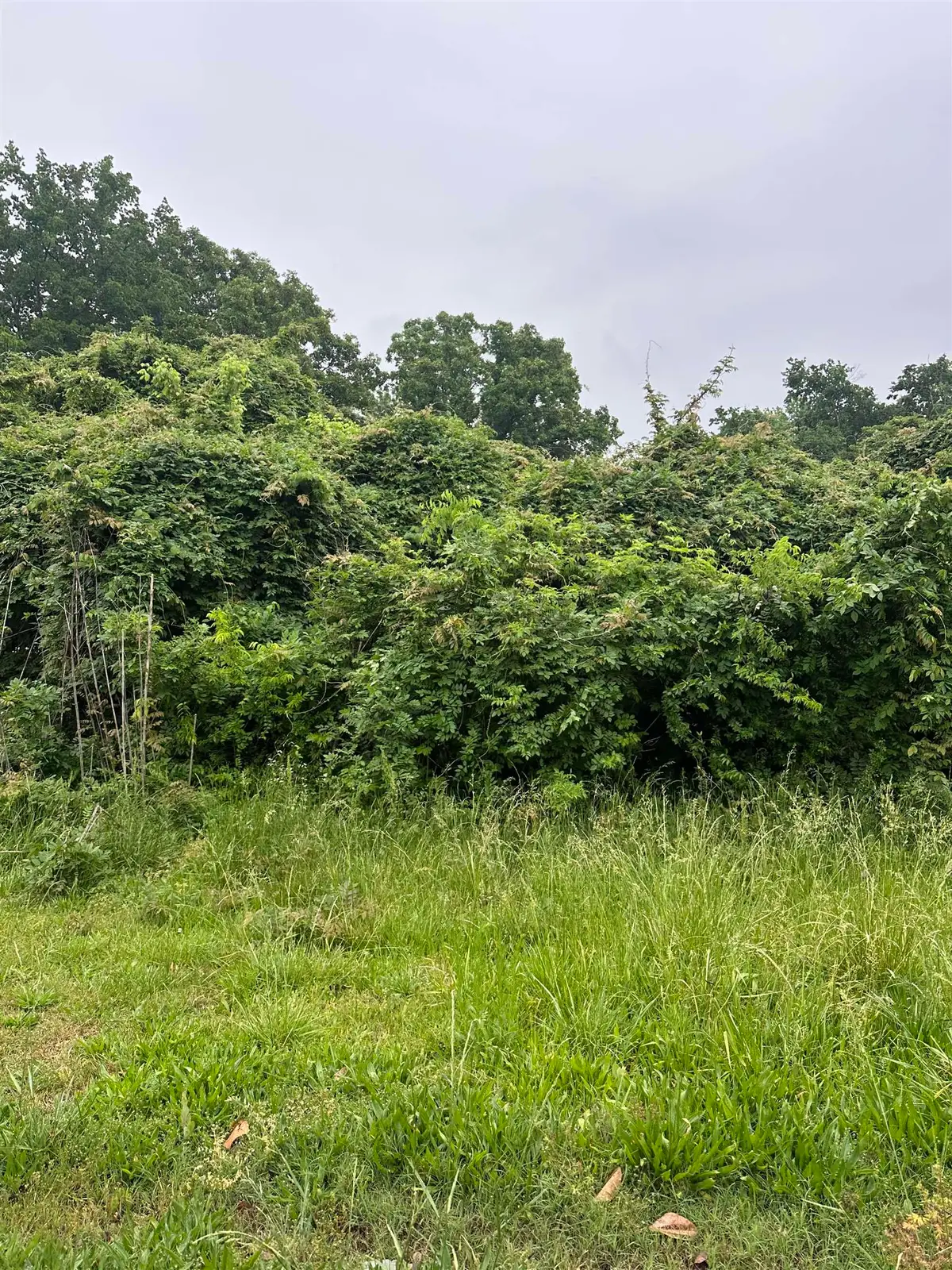 635 PURDY RD, Selmer, TN 38375-1838 - #1