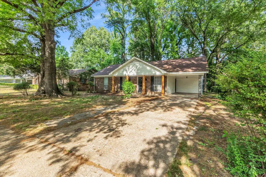 3390 CASTLEMAN ST, Memphis, TN 38118 - #3