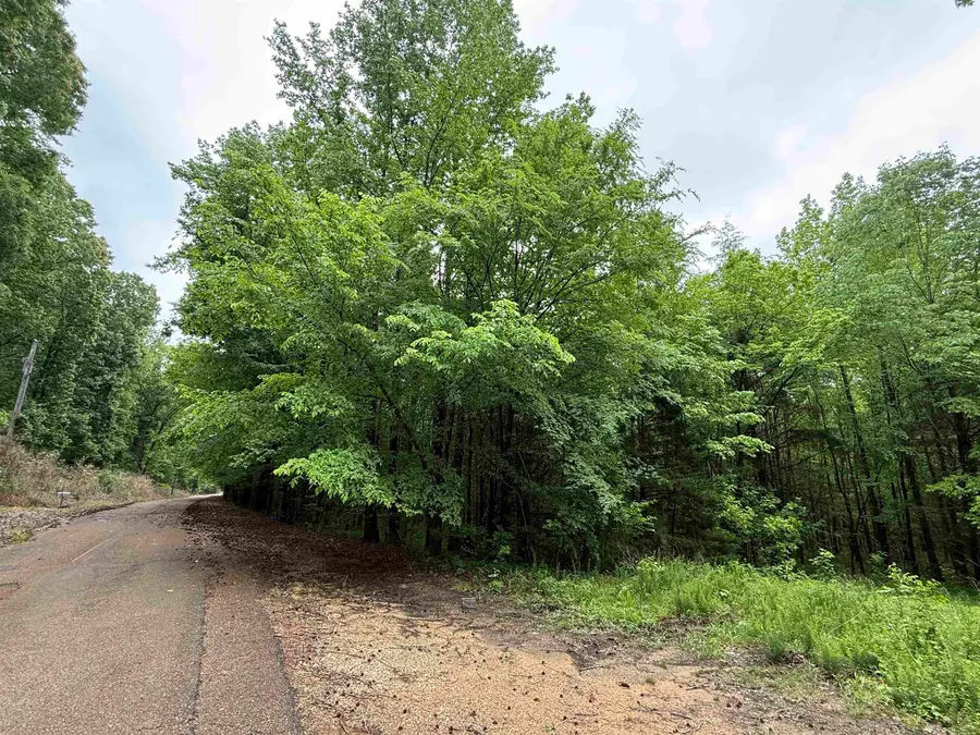 DONALDSON LN, Hornsby, TN 38044 - #2