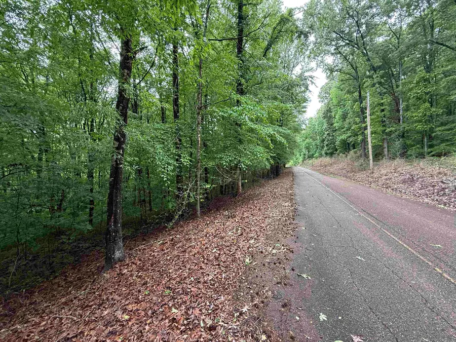 DONALDSON LN, Hornsby, TN 38044 - #3