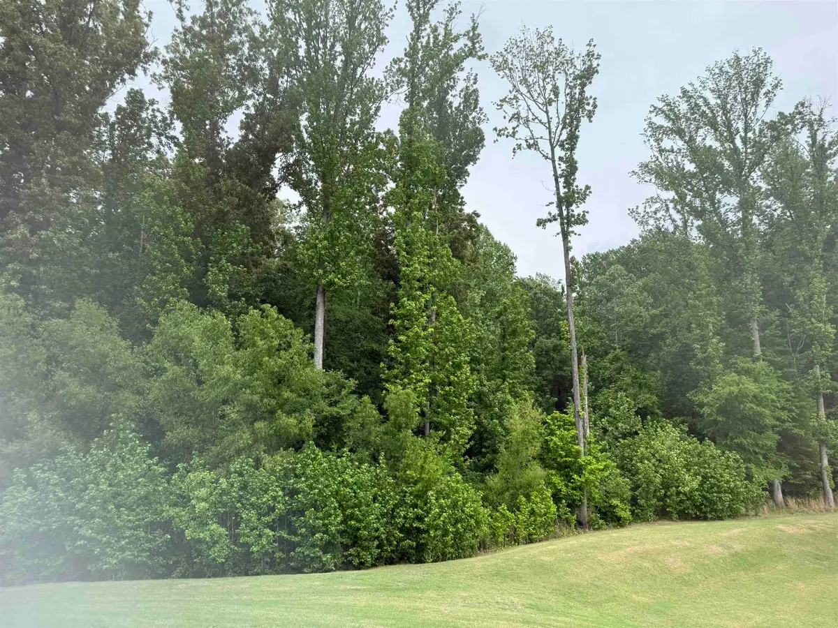 0 WINDWAY DR, Bartlett, TN 38135 - #1