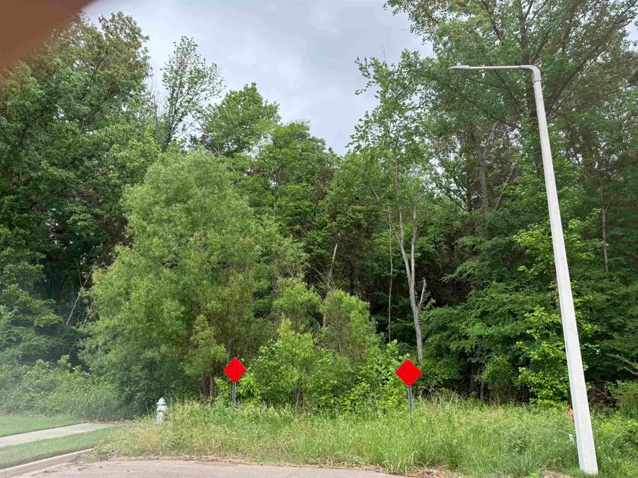 0 WINDWAY DR, Bartlett, TN 38135 - #2