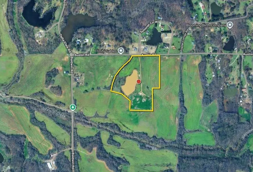 7995 AUSTIN RD, Lake Cormorant, MS 38641 - #3