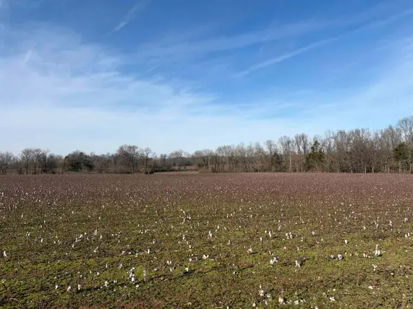 353 COTTON GROVE RD, Jackson, TN 38305