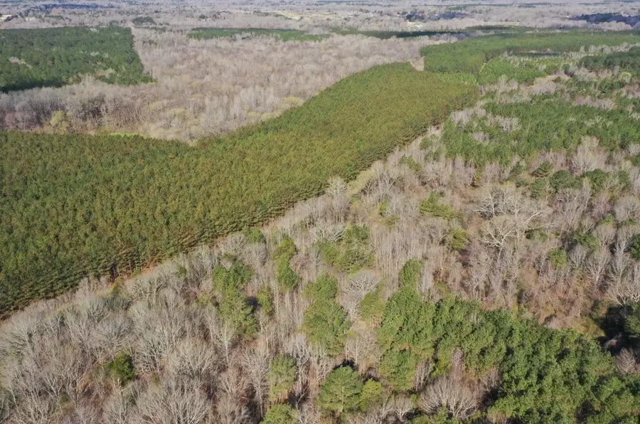 0 MOORE RD, Red Banks, MS 38635 - #2