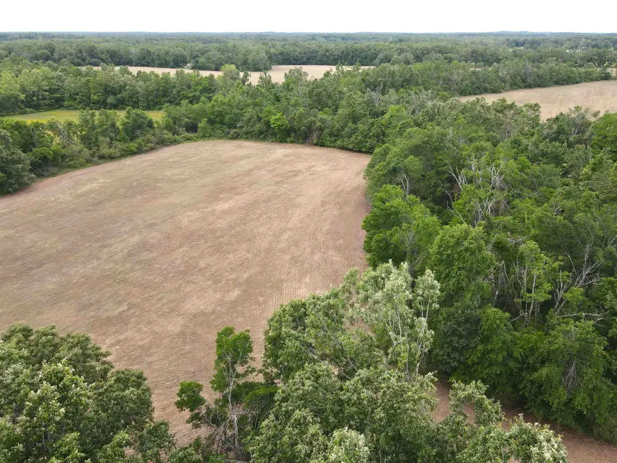 22 S HWY, Michie, TN 38357 - #2