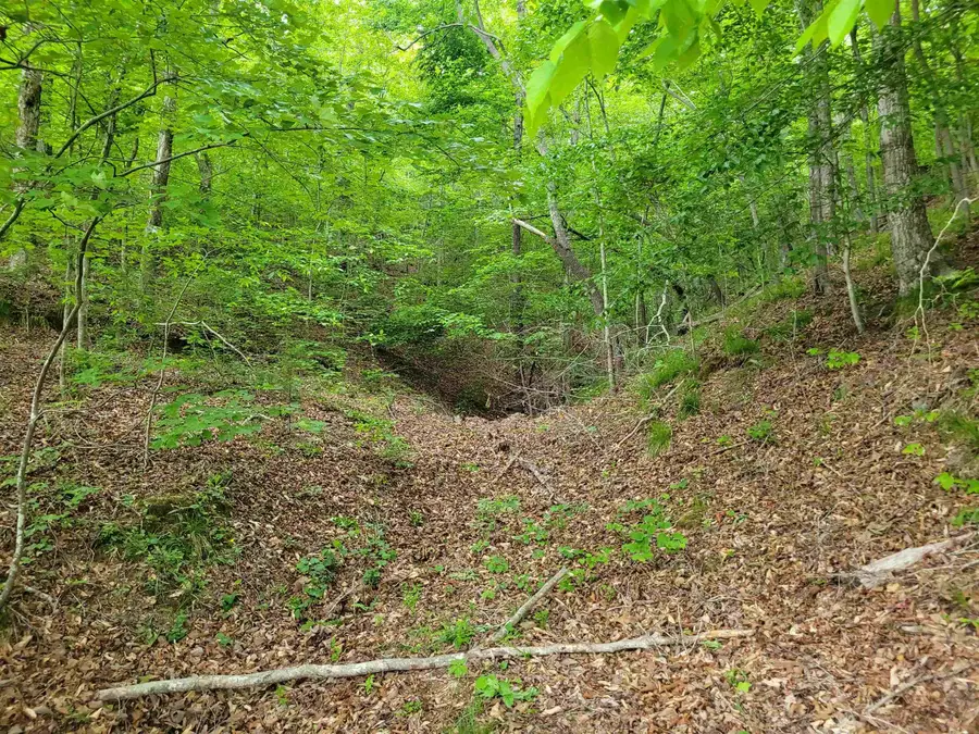 077 CARROLL HOLLOW RD, Waynesboro, TN 38485 - #2