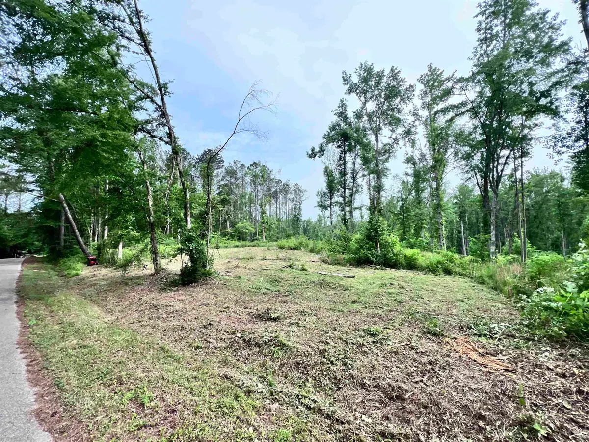 0 CHALK RD LOT 2 RD, Morris Chapel, TN 38361 - #1