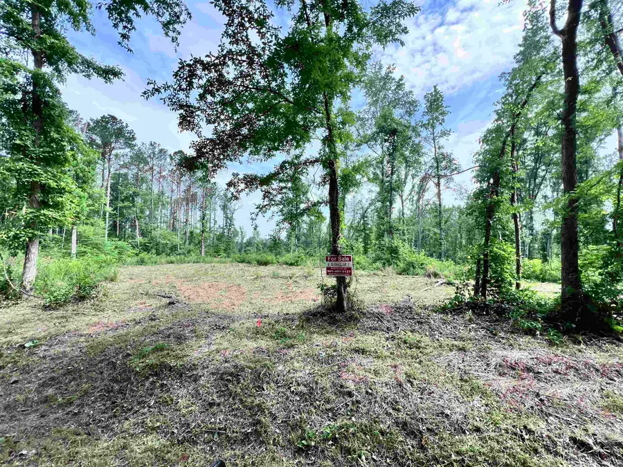 0 CHALK RD LOT 2 RD, Morris Chapel, TN 38361 - #3
