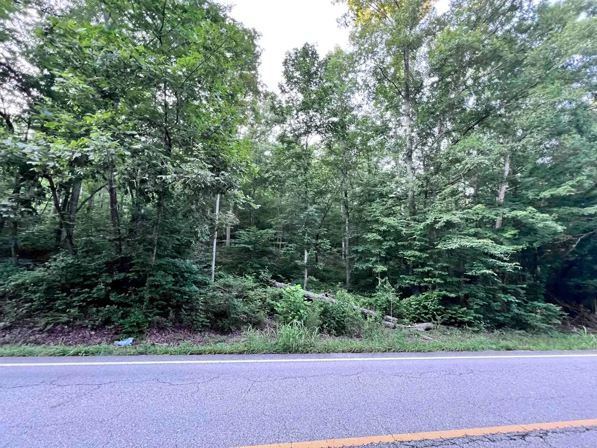 0 HWY 438 LOT 1 HWY, Lobelville, TN 37097 - #1