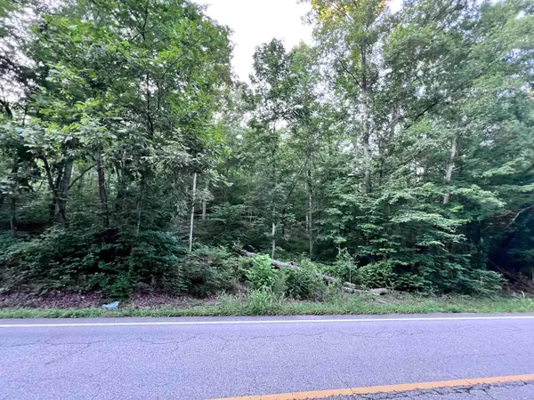 0 HWY 438 LOT 1 HWY, Lobelville, TN 37097