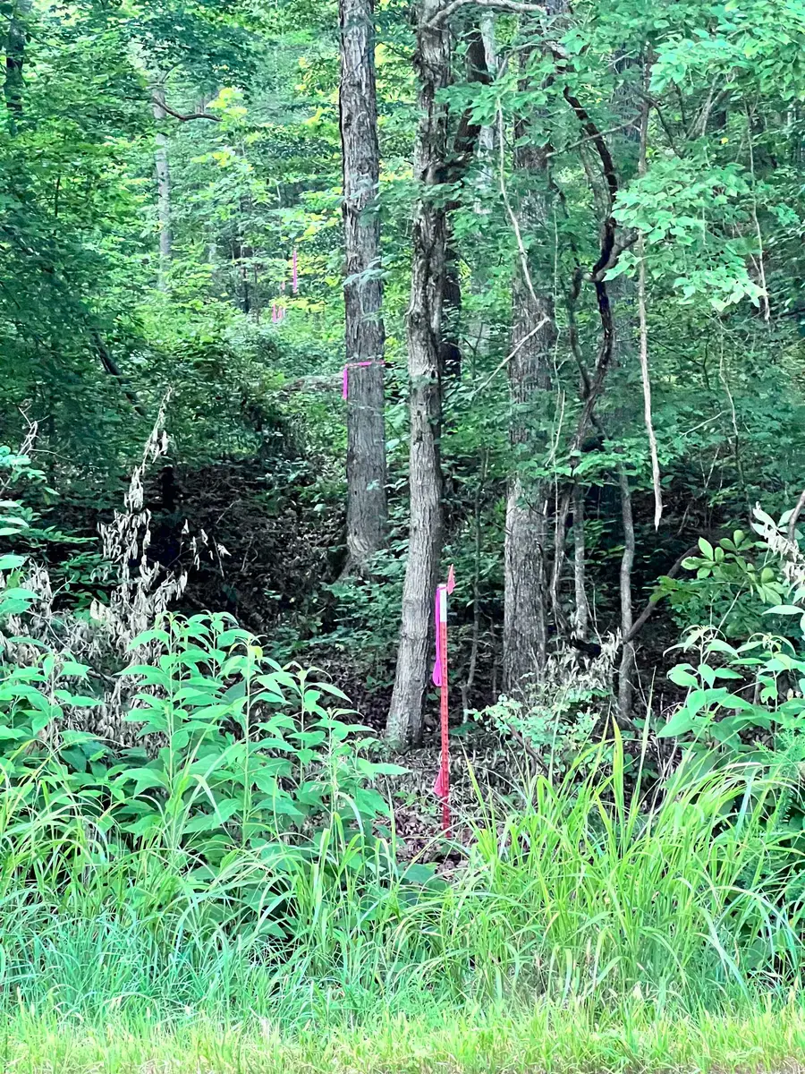 0 HWY 438 LOT 1 HWY, Lobelville, TN 37097 - #3