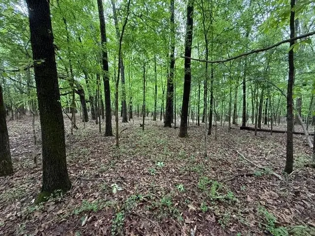 HWY 193 HWY, Collierville, TN 38017 - #2
