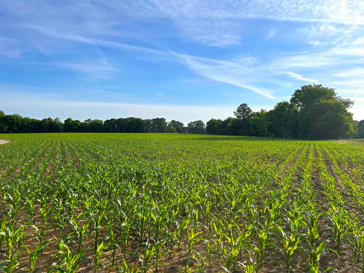 11385 18 HWY, Bolivar, TN 38008 - #1
