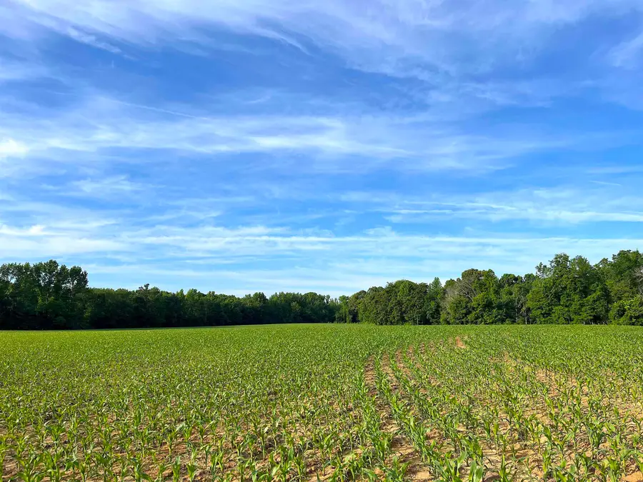 11385 18 HWY, Bolivar, TN 38008 - #3
