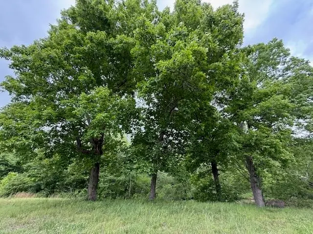 0 OLD HWY 72 HWY, Ashland, MS 38603 - #1