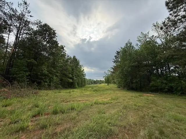 0 OLD HWY 72 HWY, Ashland, MS 38603 - #2