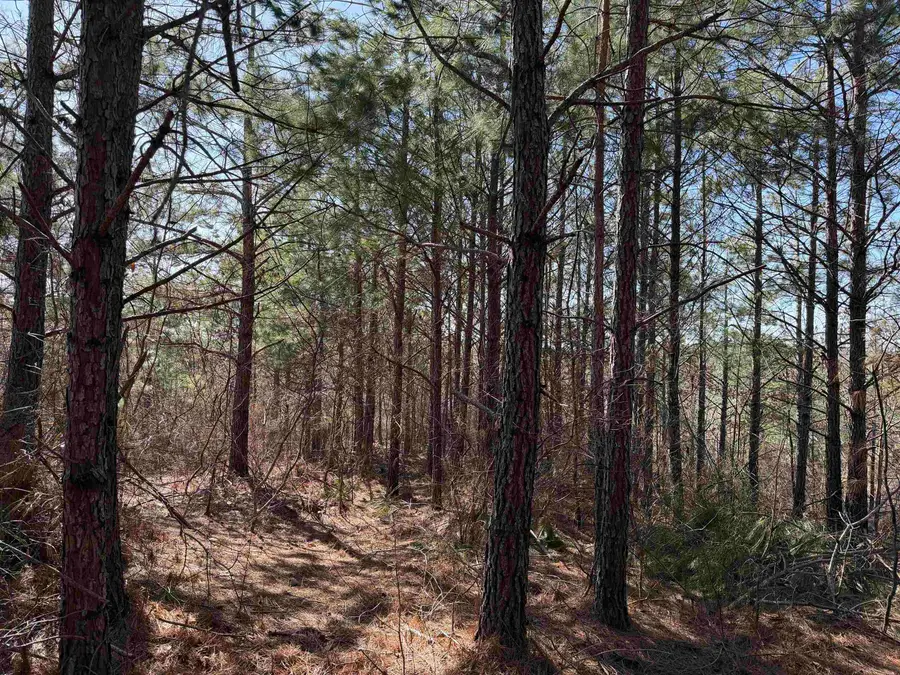 6 PYBURN DR, Savannah, TN 38372 - #3