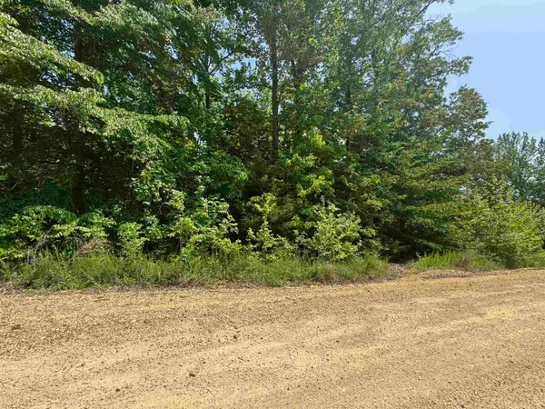 00 YOUNGER HOLLOW CEMETERY RD, Clifton, TN 38425