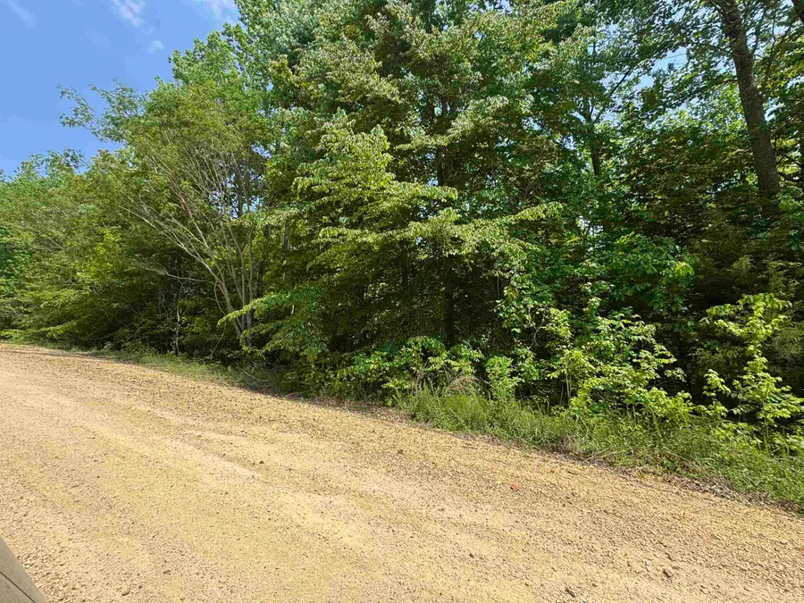 00 YOUNGER HOLLOW CEMETERY RD, Clifton, TN 38425 - #2