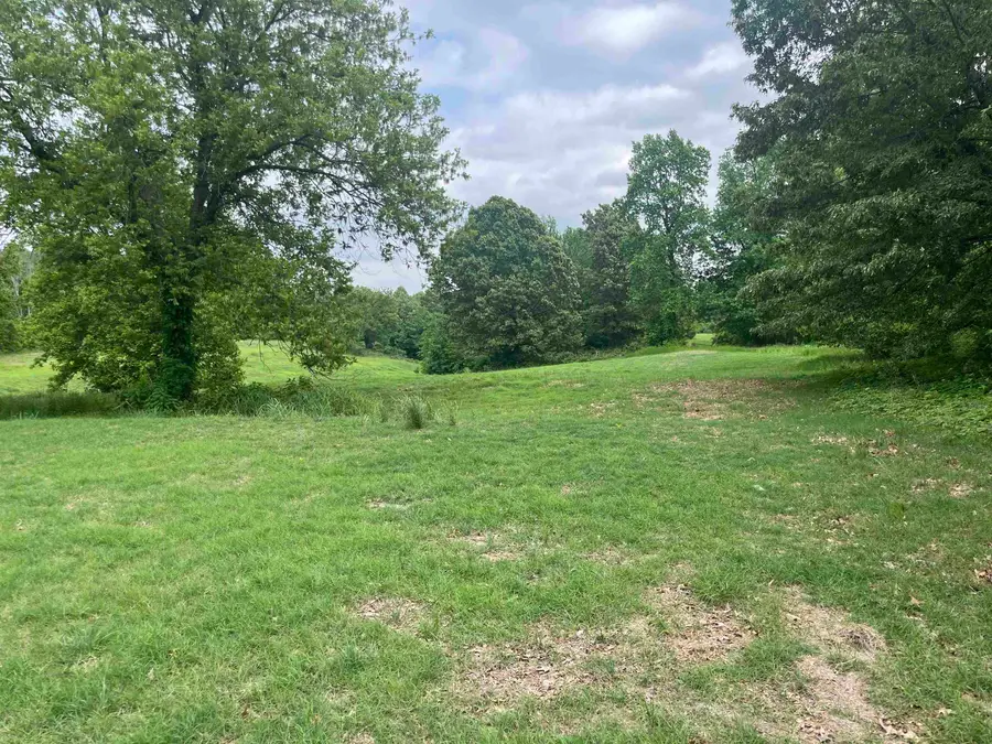 0000 MUNFORD-GILTEDGE RD, Munford, TN 38058 - #3