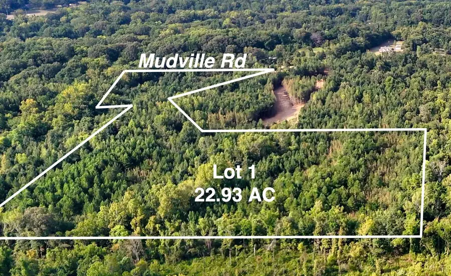 0 MUDVILLE RD #Lot 1, Millington, TN 38053 - #2