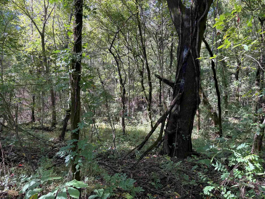 0 MUDVILLE RD #Lot 1, Millington, TN 38053 - #3