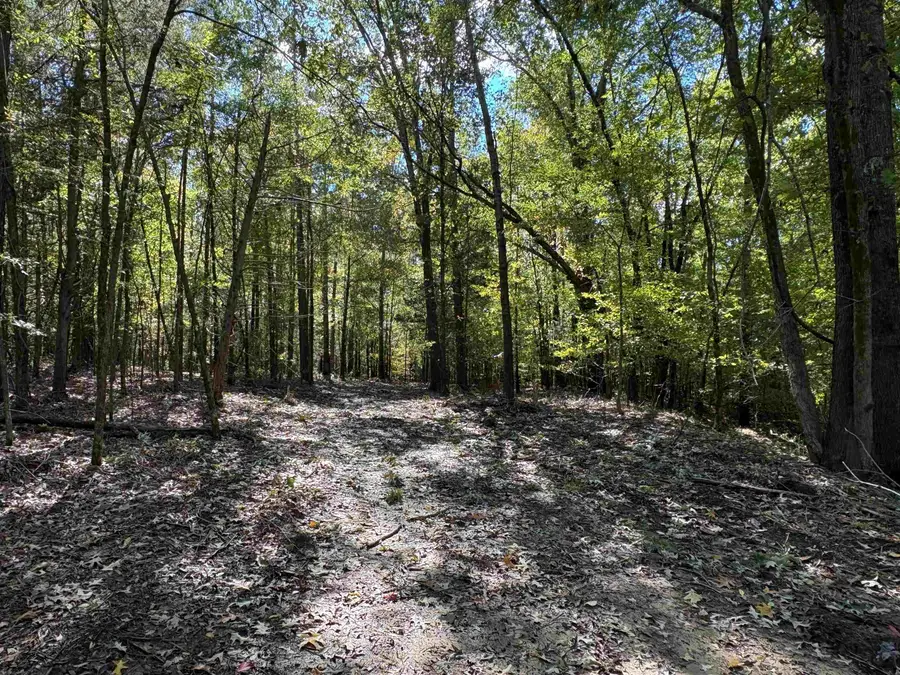 0 MUDVILLE RD #Lot 4, Millington, TN 38053 - #2