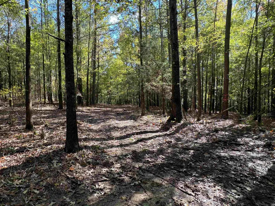 0 MUDVILLE RD #Lot 4, Millington, TN 38053 - #3